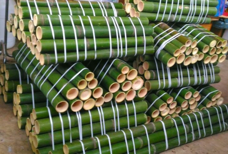 bambu - bambù - bamboo -12