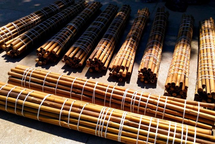 bambu - bambù - bamboo -10